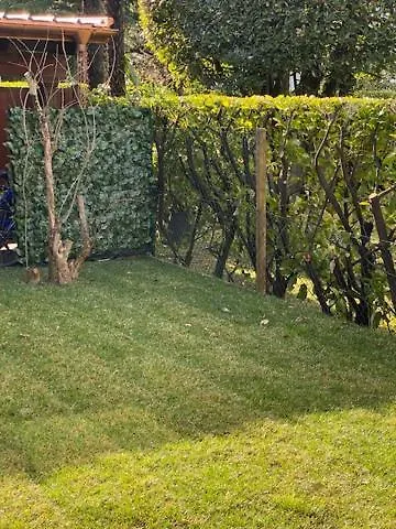 Via Saleggi 10 アパート