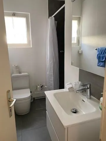 アパート Via Saleggi 10 アスコナ