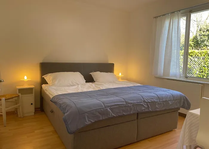 Via Saleggi 10 アパート アスコナ