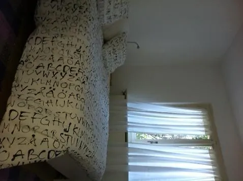 Via Saleggi 10 アパート