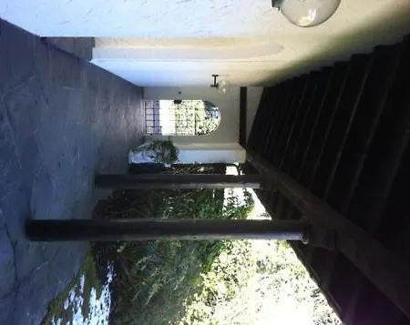 Via Saleggi 10 Apartament Ascona